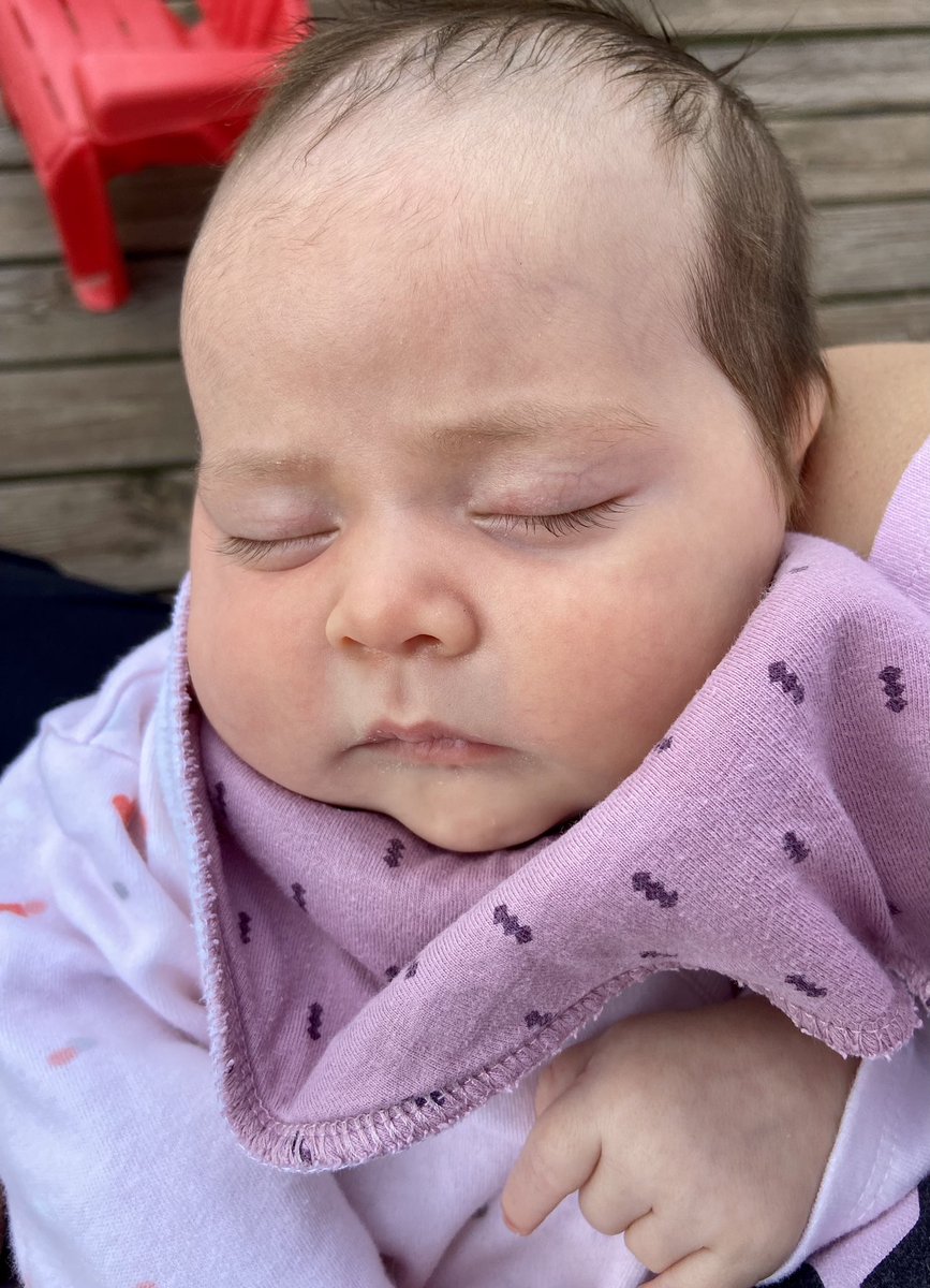 emily_knipe's tweet photo. Blowing bubbles &amp; getting some snuggles from the newest member of the family!! #parentsasteachers #guidedplay #fecchornets https://t.co/OTMeC4Xsse