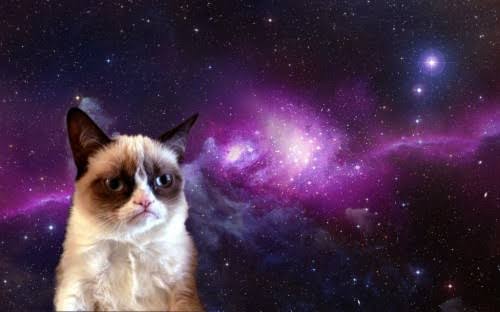 is this a cat in space ???