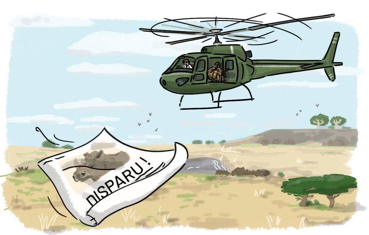 Réserve de Borana, #Kenya. Cela fait 2 jours qu'un 🦏 manque à l'appel. 120 rangers sont en alerte et une équipe va lancer un #drone pour le localiser, avant d'envoyer un 🚁 à sa recherche ! Un hélico pour retrouver un rhinocéros ⁉️ Suite ac <a href="/zoodeparis/">Parc zoologique de Paris</a> 👉 newsletters.artips.fr/Sciencetips/Rh…