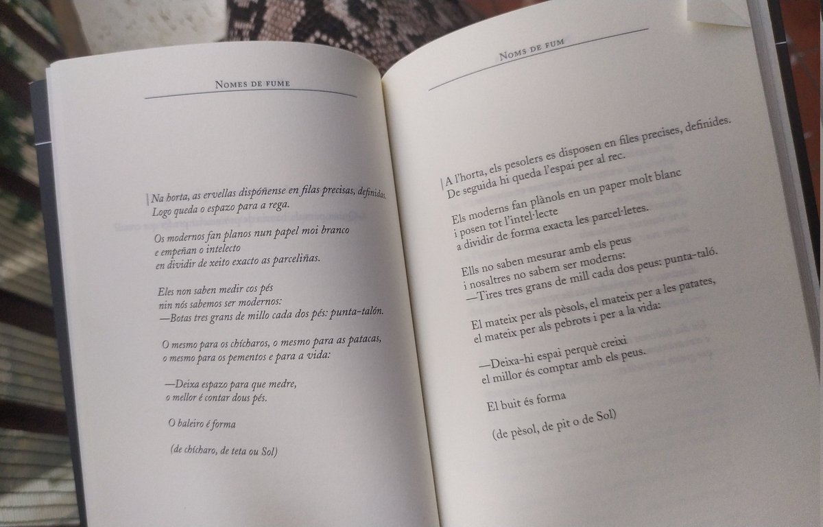 El buit és forma (de pèsol, de pit o de Sol)