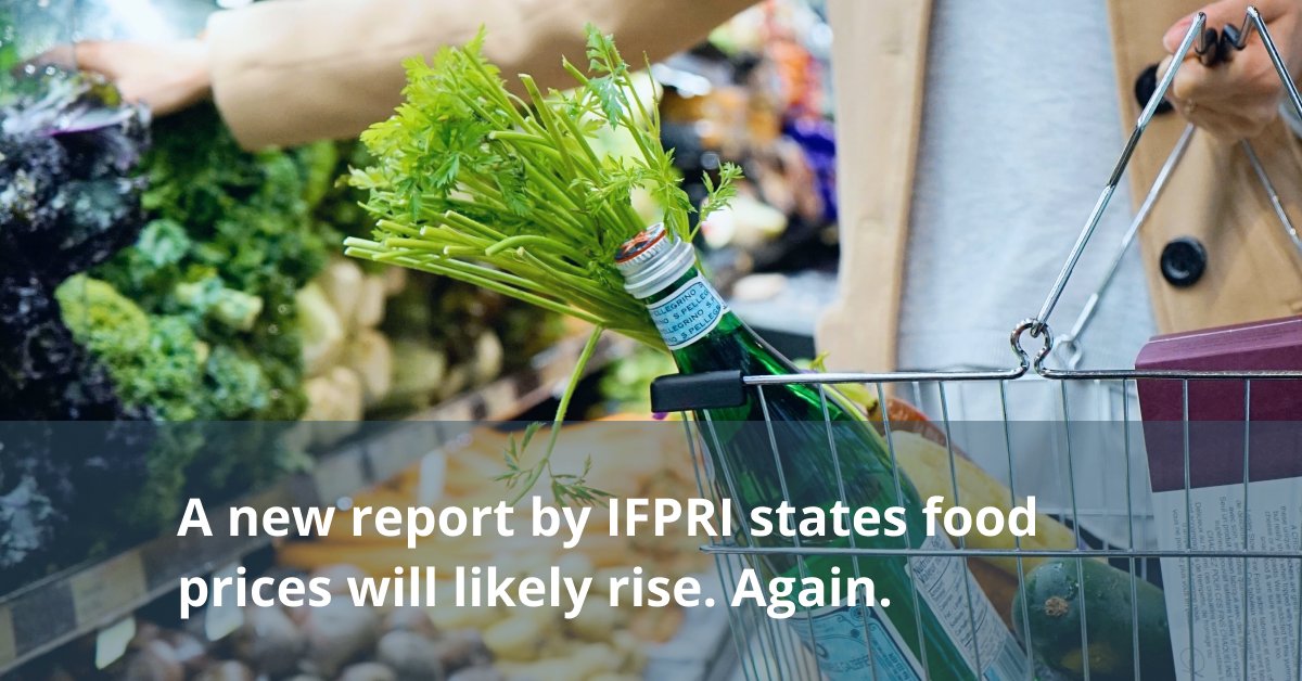Food prices are going up again. Why now? 

Fertilizer. A recent report by <a href="/IFPRI/">IFPRI</a> shows that while the cost of fertilizer has been rising for the last year and a half, the conflict in Ukraine has made matters much worse. 

Read the report here: hubs.li/Q01bnN3Q0