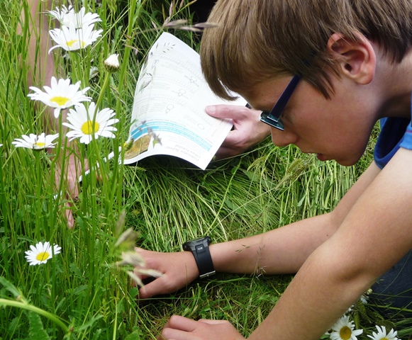 CountryClassrm's tweet photo. Hurray for #outdoorlearning 🤩👏🐾🌏🐝

We are super excited to be bringing you loads of amazing curriculum activity ideas, experiments, places to visit &amp; even an exciting free prize draw to  inspire your students to learn outdoors.  👏👏

👉https://t.co/kePm9LoTVf https://t.co/zk4SxvZS6j