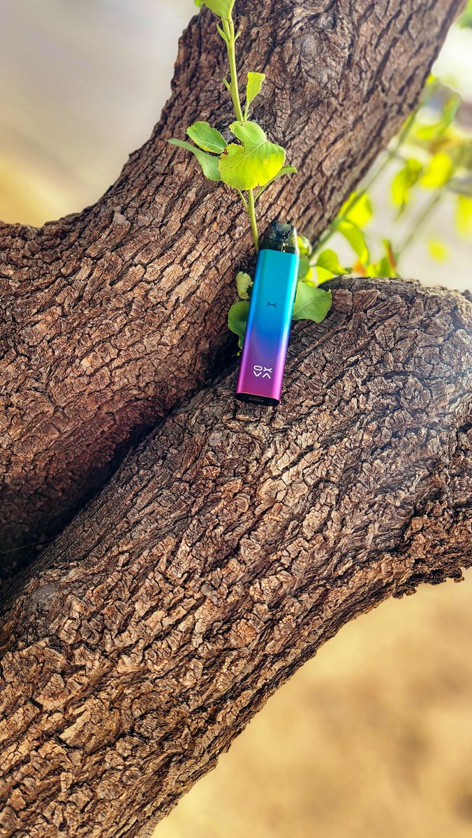 ReviewsDaves's tweet photo. Finally found a tree in TX. But carrying the oxva xlim SE like the XLIM BUT simple I mean come on now.
@OXVAOfficial @oxva.tech @oxvaceo @jocelyn_oxva @oxvateam #oxva #oxvateam #oxvaxlimse #oxvaxlim #vapeworld #vapecomunity #vapenation #vapefam #worklifebalance #worklife https://t.co/0pH7HADAwT