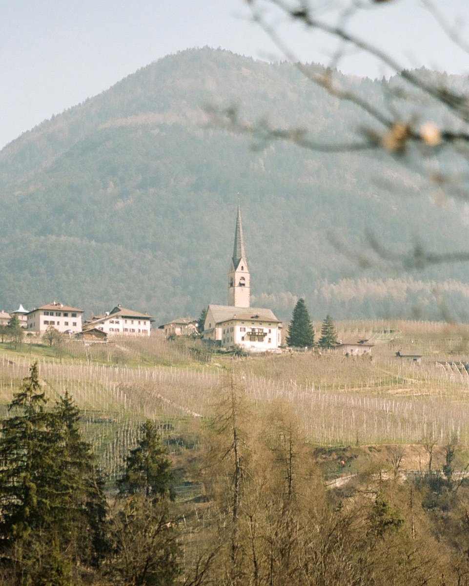 elsstrr's tweet photo. Val di Rabbi on Kodak Portra 160 https://t.co/EzejIG97oi