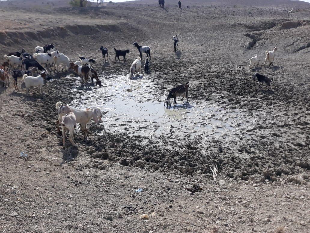 PakSarfrazbugti's tweet photo. Water situation in Dera Bugti is getting deteriorated with the passage of time. Union council Sham Kalchas is facing severe water shortage. I request authorities concerned to ensure the provision of water in the union council. 
#ShamKalchasKoPaniDo https://t.co/LQpi1QgqCR
