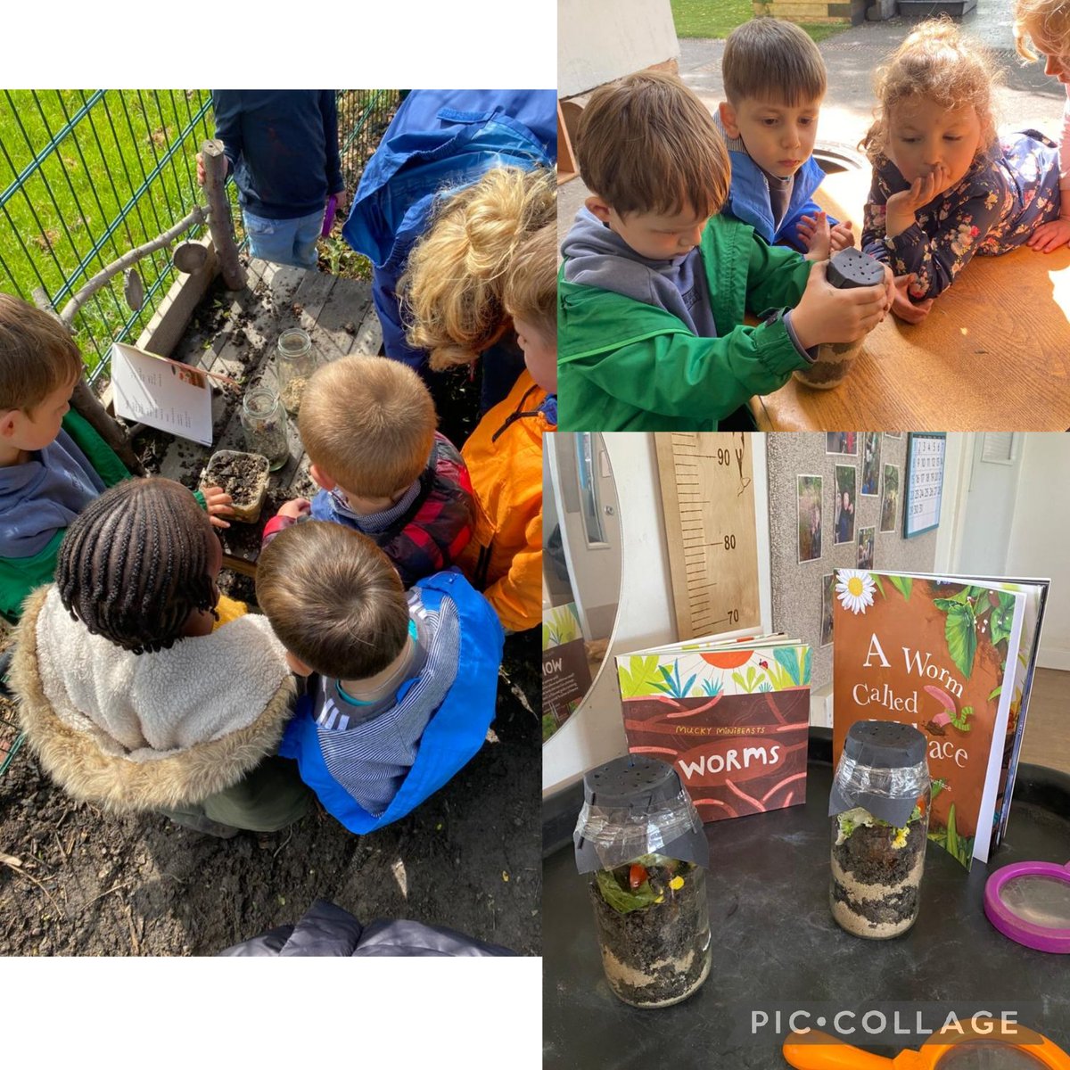 snowdrop_poppy's tweet photo. We have loved looking for worms this week so we decided to make some wormeries! Today we learned that worms ... have 5 hearts! https://t.co/w08CsvM5zw