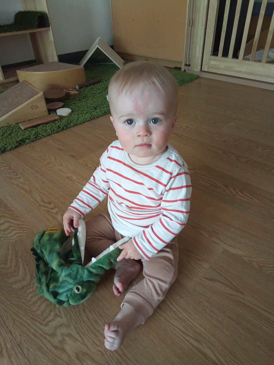 AshbridgeMaxy's tweet photo. We loved the crocodile puppet in Snowdrops today #HelloMrcrocodile #Rowrowrowyourboat #Snapsnapsnap https://t.co/lUEdsBbD1p