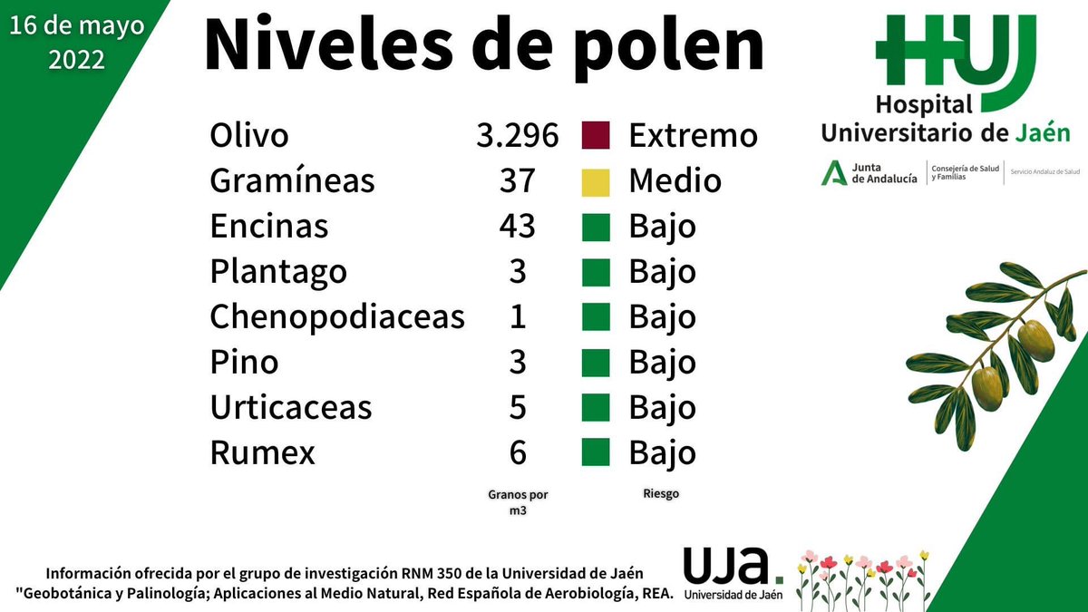 polenjaen's tweet photo. 📢 Nuevos datos de niveles de polen en la provincia de #Jaén

🌳 El olivo alcanza niveles muy extremos. Recuerden que el uso de la mascarilla 😷 es muy importante. 

💚 Agradecer al HUJ y a UJA por su gran labor de facilitar los datos para ayudar en la prevención de los síntomas https://t.co/BYSMJvJSMX