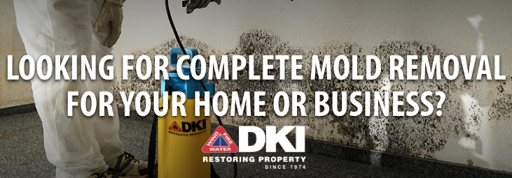 DisasterKleenup's tweet photo. Safely removing mold inside your home or business can be confusing. So many questions come to mind. Can you touch it? Can you even breathe near it?   #moldremediation #moldremoval #restorationservices https://t.co/YoRgK2lKHi https://t.co/VqD5Qpeo9w
