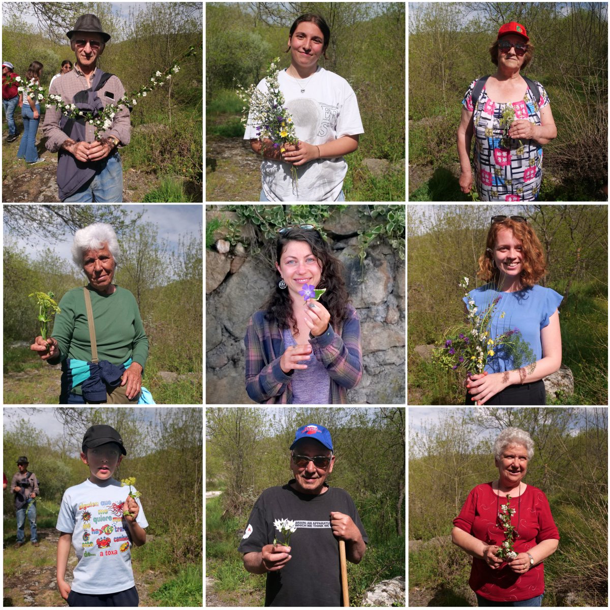 NOVAdada's tweet photo. #springtime #primavera #portraits made on #creativewalk in #valecarapito w/ #vilarmaior community &amp; @rewilding_portugal #localplants #rewilding #ecoart #flora #sharing #plantknowledge #heritagestories #artistresidency in #coavalley #Portugal #wildcoasymphony #herecommonseverybody https://t.co/EW8zOaHxnz