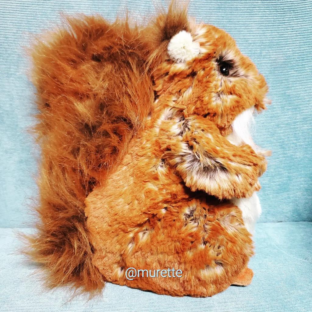🇬🇧よりやってきたリス　Fren
窮屈だったので、
まだ少し毛並みが乱れております😆
すごく柔らかい毛並みなので
ツヤツヤな手触りとでもいいましょうか♥️お髭もかわいいです。
#家中リスグッズだらけ #シマリス #リス #squirrel #wrendale #squirrel #fern #squirrelplush