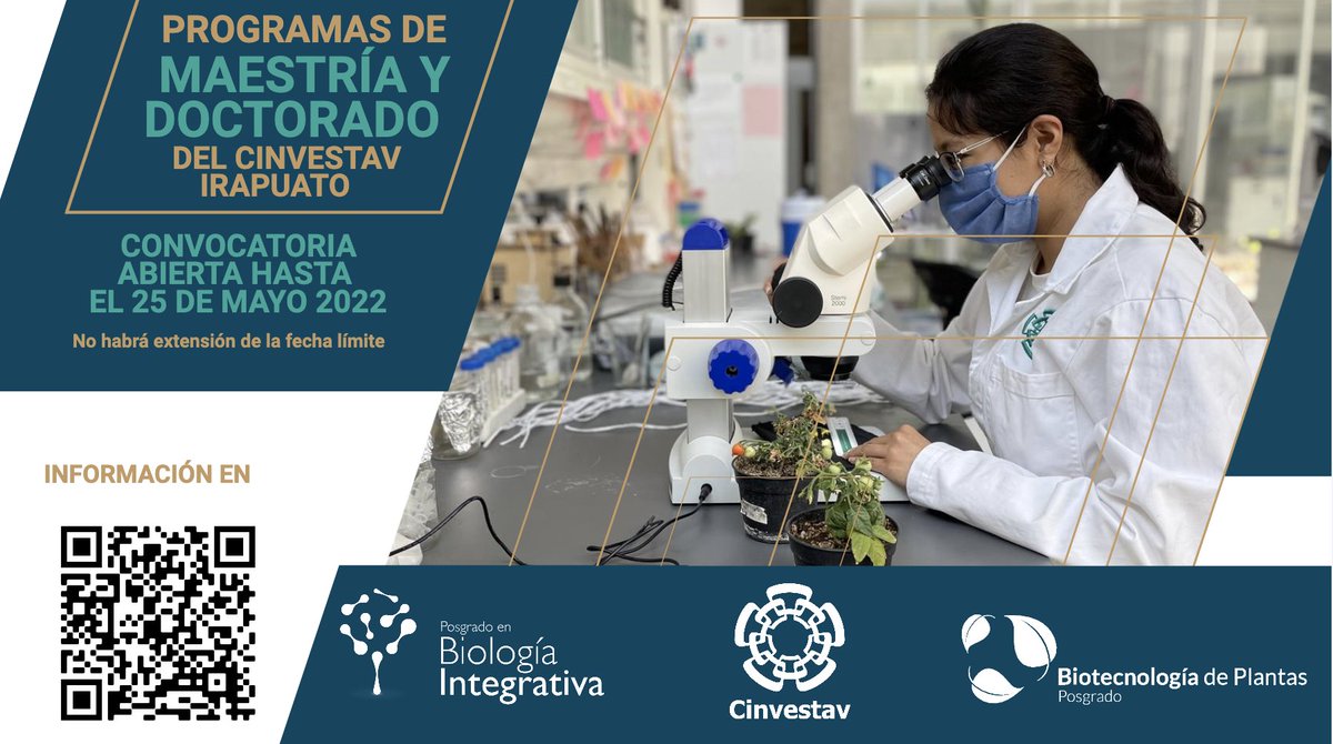 🟢Se encuentra abierta la convocatoria 2022 para los programas de <a href="/biotec_plantas/">Biotecnología de Plantas CINVESTAV</a> y <a href="/BiolIntegrativa/">Biología Integrativa Cinvestav</a> para maestría y doctorado.

📅Cierre de convocatoria: 25 de mayo de 2022.
🔴No habrá extensión de la fecha límite.

👉Más información en: ira.cinvestav.mx/posgrados/
