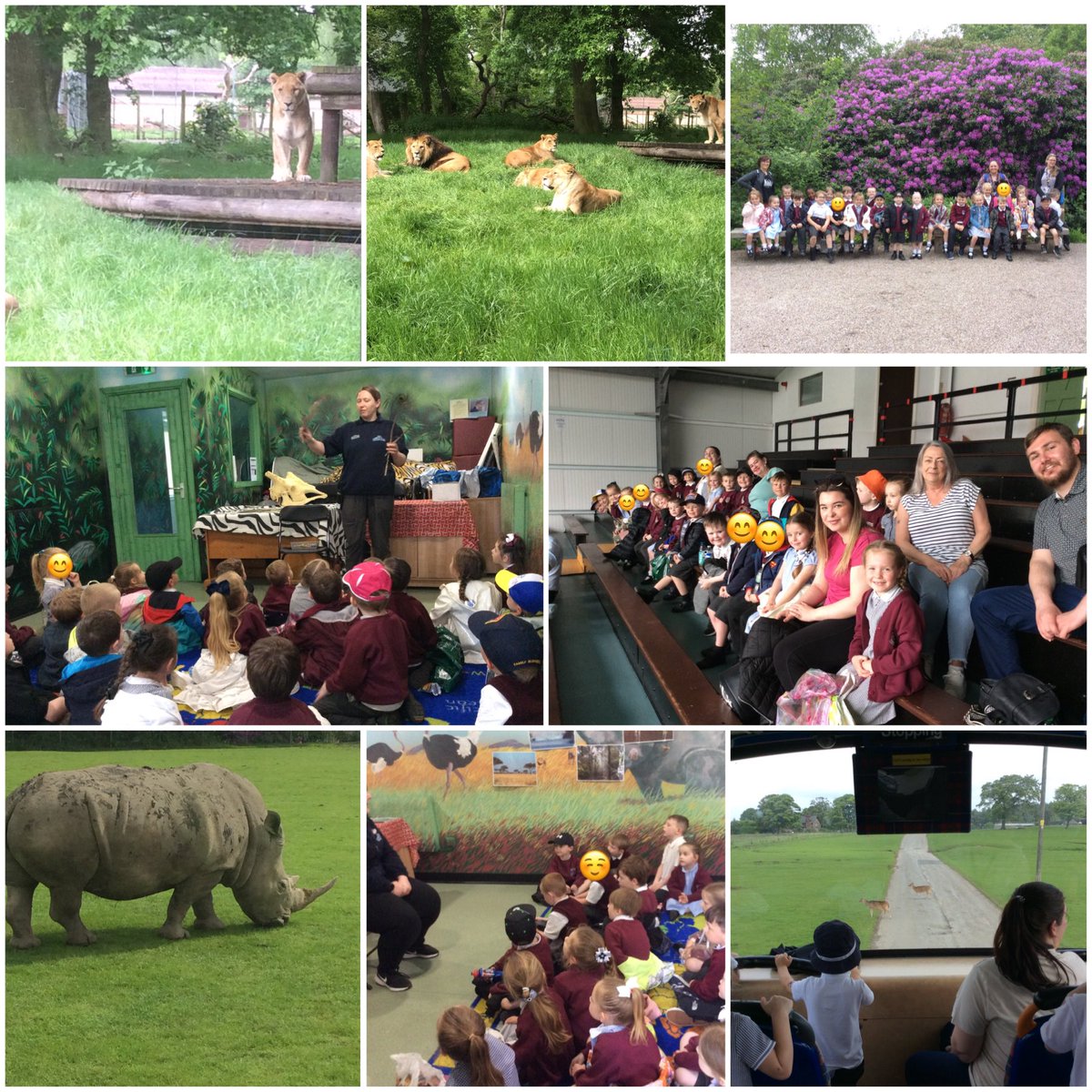 Reception have enjoyed a lovely trip to Knowsley Safari Park today to enhance our topic of Amazing Animals! We even went into the Safari School to learn all about animal habitats and camouflage.  The children were beautifully behaved - well done Superstars 🌟#science
