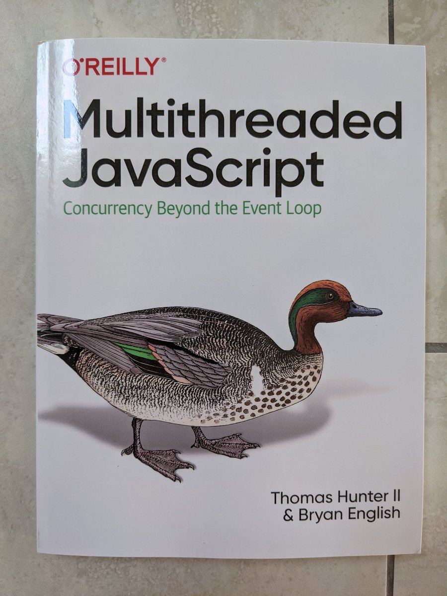 obensource's tweet image. My new book arrived! So stoked to dive into this one. 📖

@tlhunter &amp;amp; @bengl: Thank you for putting this together so we can learn from you! 🙏