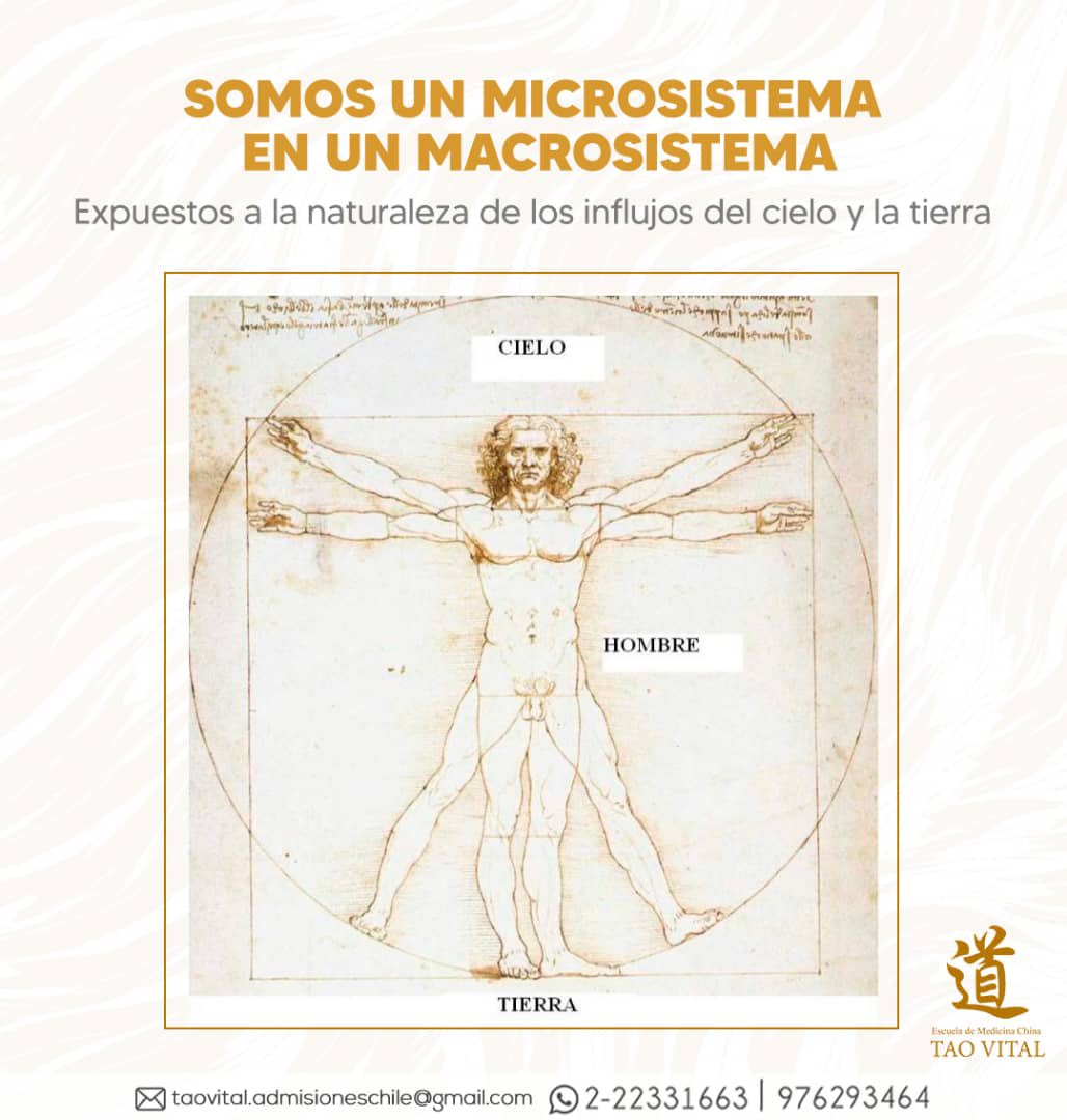 Somos un microsistema en un macrosistema, expuestos a los influjos del cielo y al tierra.
Por ello la importancia de mantener la salud, el equilibro.
Para la MTC su premisa es la prevención de la enfermedad.
No hay enfermedades, sino enfermos .