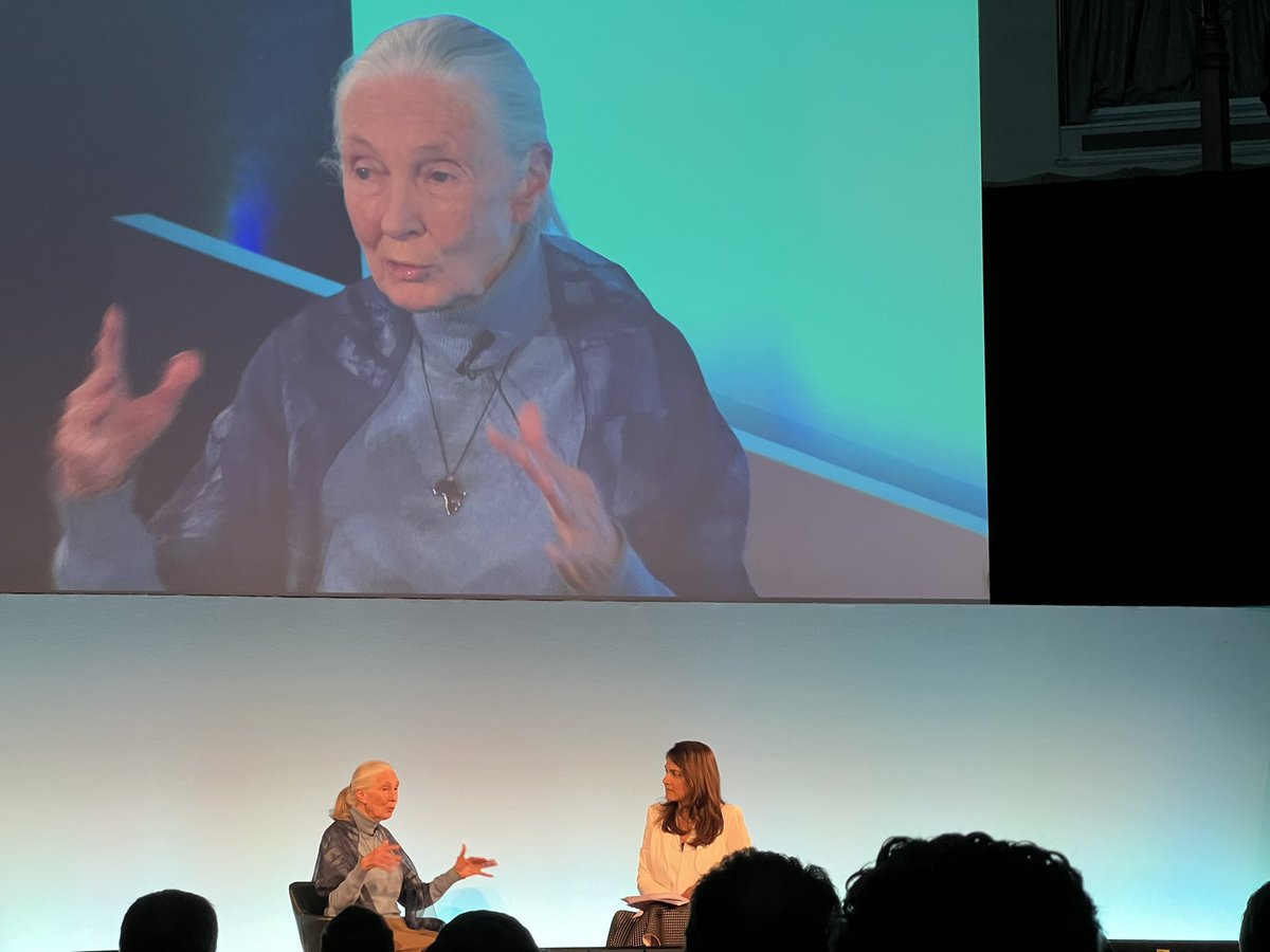 dianadaniels's tweet photo. To change the way #corporations “think” about #biodiversity #ClimateChange #carbonfootprint remember that companies are made of people. Are they thinking in the planet they will leave to their kids? @JaneGoodallInst @YPO #london Convergence the #futureoftheplanet https://t.co/JTjE1EeOFk