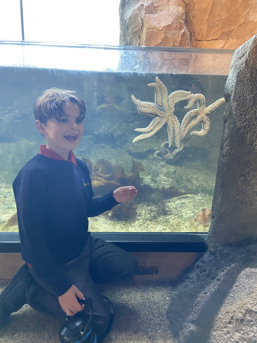 BhaYear2's tweet photo. Seahorses and Turtles class had the most #remarkable trip to @NMAPlymouth today. We got to see lots of amazing sea creatures as well as conducting some exciting experiments. @AETAcademies @BHA_TQ https://t.co/TlqNqcMbSA