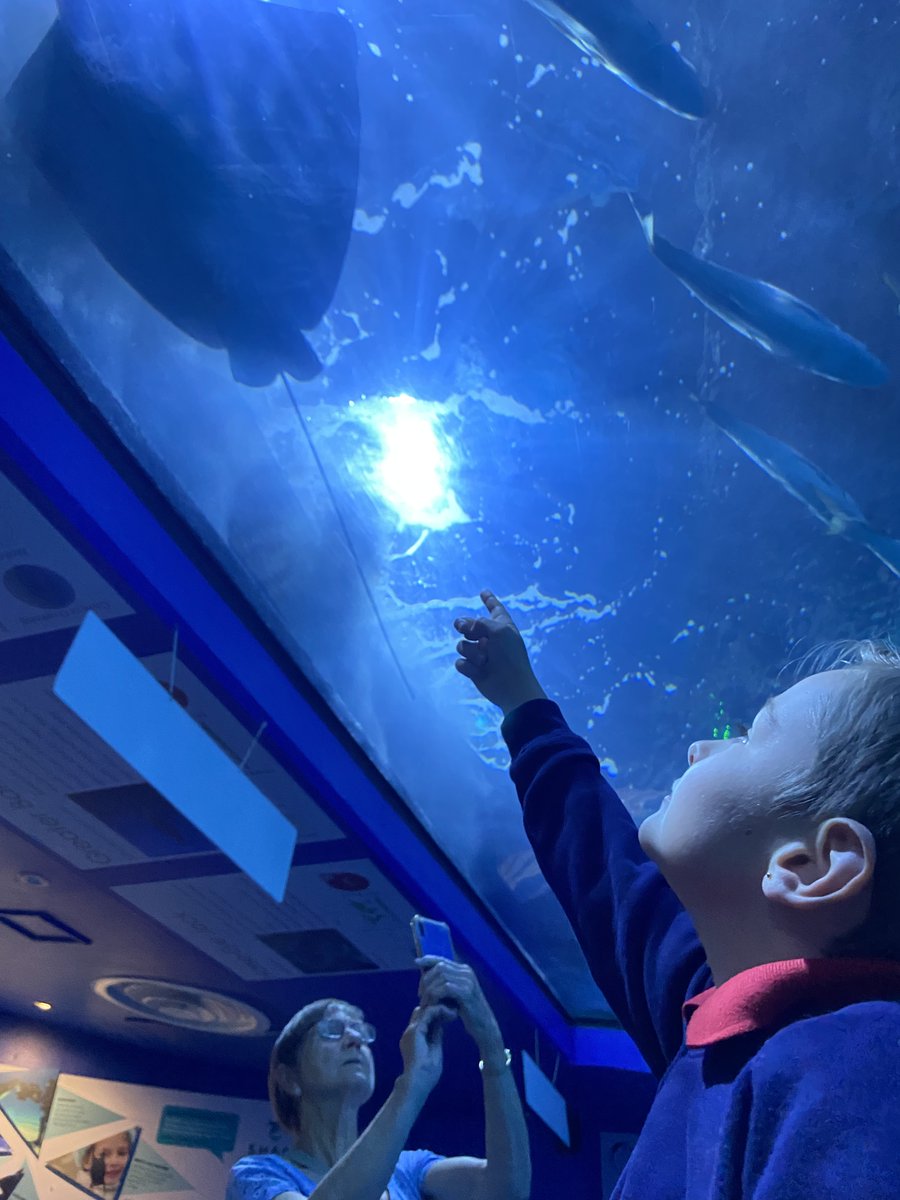 BhaYear2's tweet photo. Seahorses and Turtles class had the most #remarkable trip to @NMAPlymouth today. We got to see lots of amazing sea creatures as well as conducting some exciting experiments. @AETAcademies @BHA_TQ https://t.co/TlqNqcMbSA