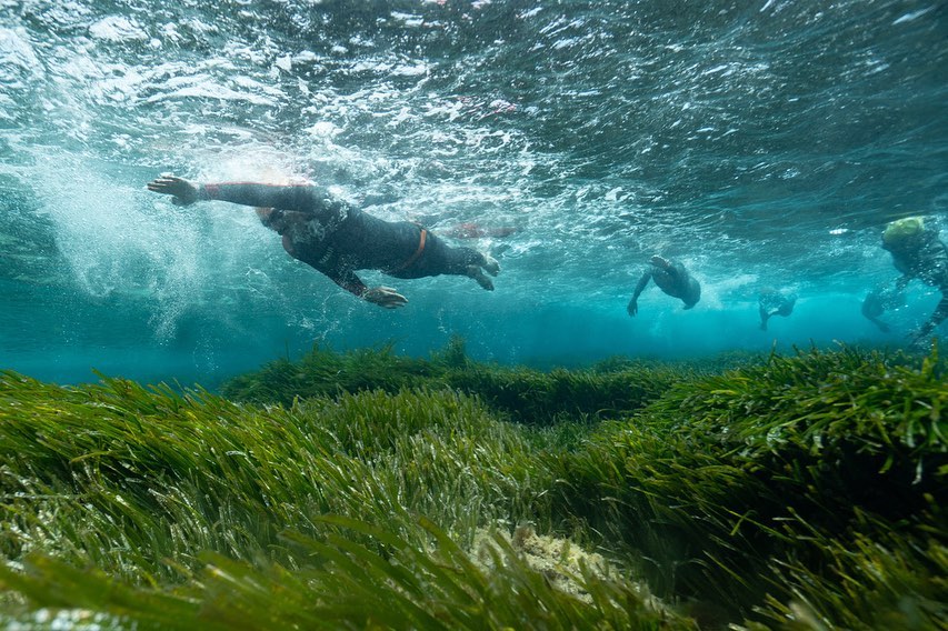 saveposidonia_'s tweet photo. El pasado 7 de mayo se celebró la copa @marnaton en aguas abiertas de #Formentera 🏊♂️ ¡Mirad qué fantásticas fotografías nos dejó la jornada con nuestra querida posidonia! 💚
#saveposidoniaproject #mediterraneo #marnaton #swimandfun https://t.co/vh1MB9Xft3