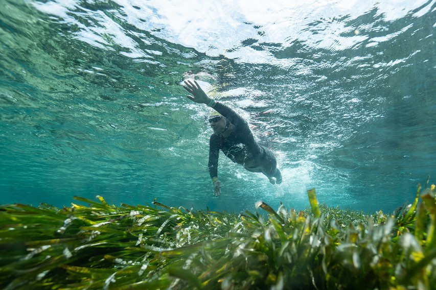 saveposidonia_'s tweet photo. El pasado 7 de mayo se celebró la copa @marnaton en aguas abiertas de #Formentera 🏊♂️ ¡Mirad qué fantásticas fotografías nos dejó la jornada con nuestra querida posidonia! 💚
#saveposidoniaproject #mediterraneo #marnaton #swimandfun https://t.co/vh1MB9Xft3