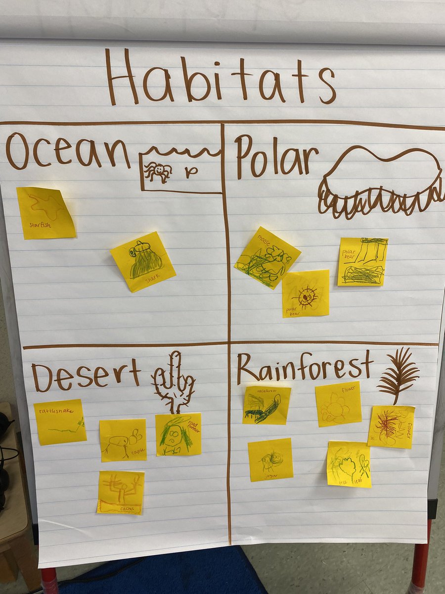 MrsMillerMISD2's tweet image. Today we reviewed habitats by reading a story &amp;amp; sorting animals to their habitats on Boom Cards! Ss had an exit ticket of drawing an animal from one of the 4 habitats below! @Keeble_AISD @ShekaDow @DozierMrs @Jennifer_Dixon4 @i_am_mrs_o_ #keebleONEteam #CKLA #WatchUsGrow