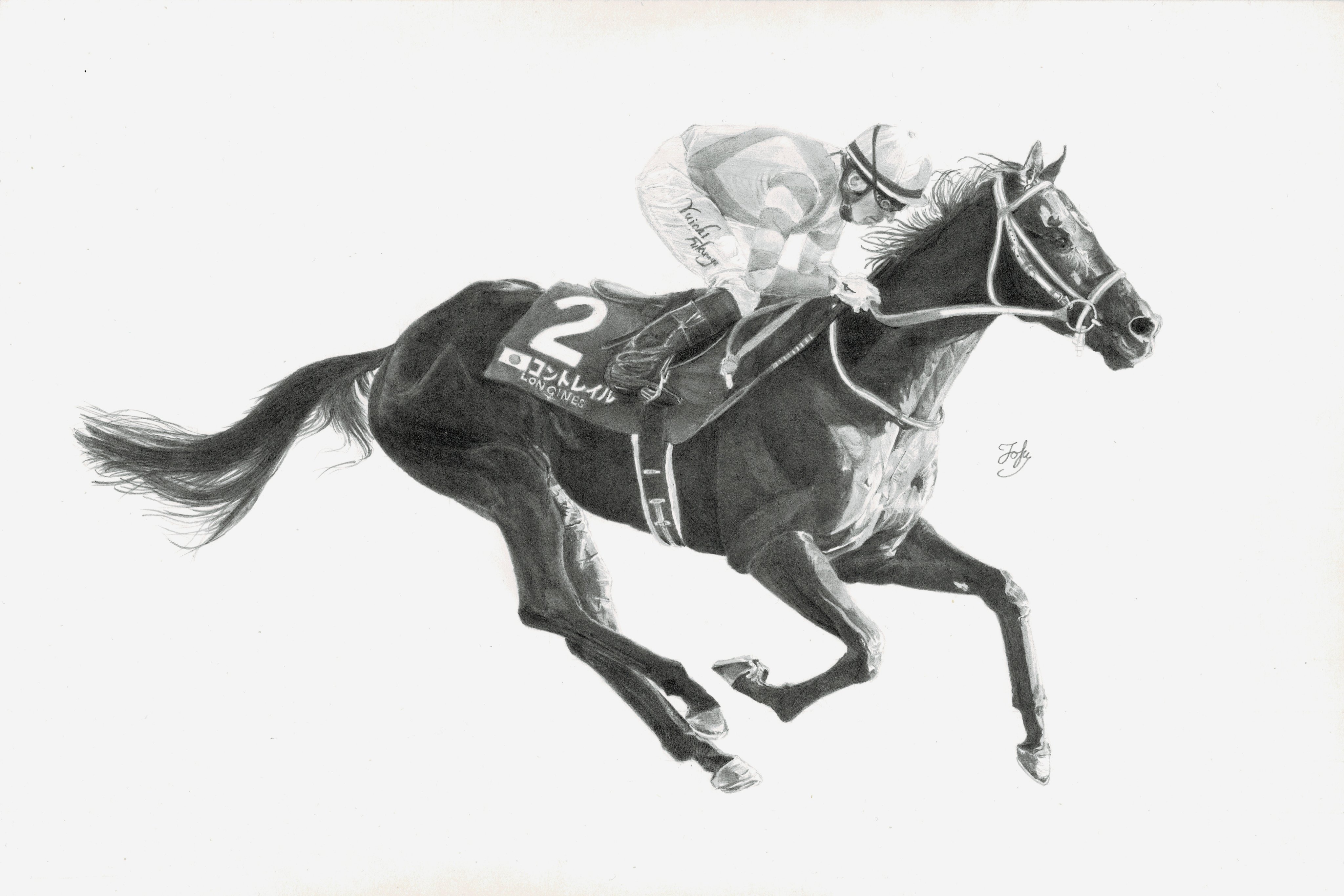 独特な 【送料無料】 - エフフォーリア 鉛筆画 エフフォーリアの人気