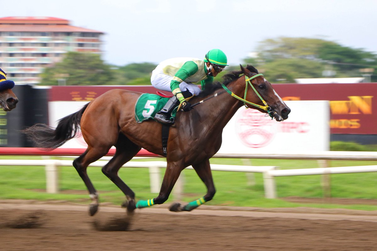 “Pica Flor V.” se fue punta y punta 
en Clásico Temistocles Diaz
La potranca “Pica Flor V.” hizo de cada poste un ganador para anexarse de principio a fin el Clásico, primer evento de la triple corona nacional de potrancas de 3 años de edad.