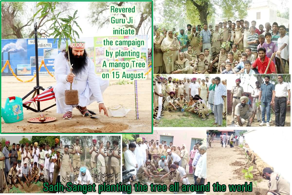 _silent_girl_28's tweet photo. Every year on 15 August, the birthday of #saintdrgurmeeetramrahimsinghji  Insan, the #DeraSachaSauda volunteers conduct worldwide #treeplantation drive, planting lakhs of trees in a single day.

#PollutionFreeEnvironment 
#TreePlantation 
#LetNatureBloom
#NatureCampaign https://t.co/gVKSvna0NW