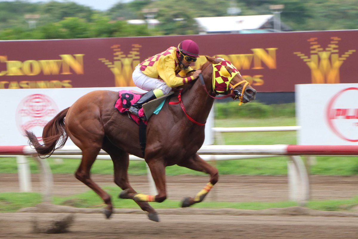 “El Dinámico” se llevó 
Clásico Familia De La Guardia
En una carrera clásica “El Dinámico” se fue punta y punta desde el arranque hasta la meta, en el Clásico Ernesto (Neco), Ernesto y Joaquín De La Guardia, para los colores del inversionista hípico Isaac Tawachi.