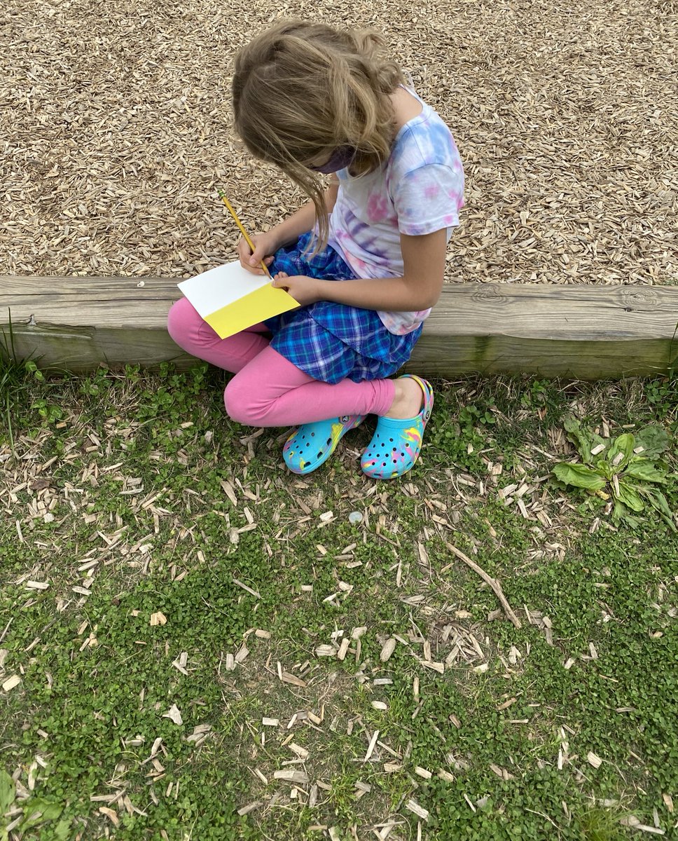 MrsKowalevicz's tweet photo. First graders used field notebooks just like @georuzo to record our plant observations 🌱🌳📒✏️ #explorerimprint #educatorexplorer @Explorer1mprint #youngexplorers #explorermindset  @RandolphStars @APSscience #sharingtheplanet https://t.co/CMhPm15OfE