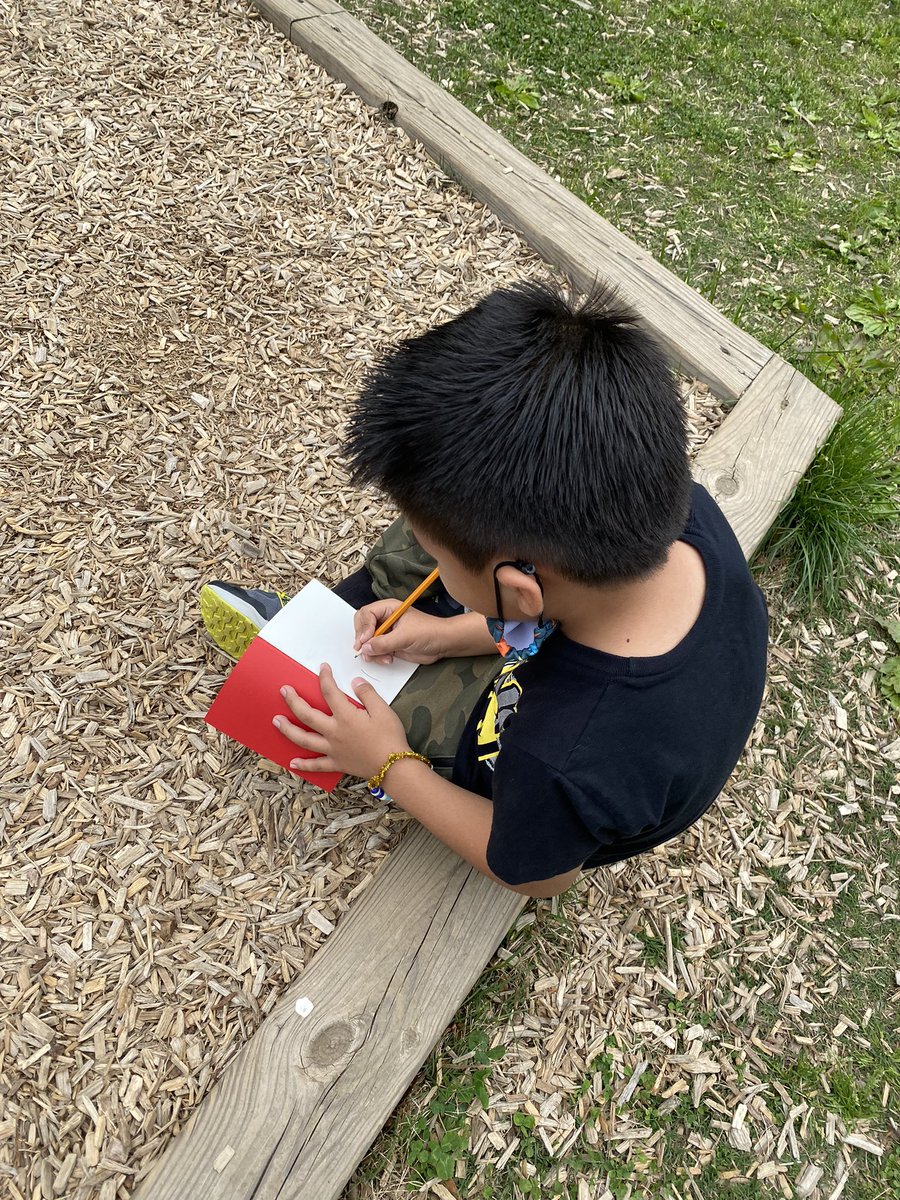 First graders used field notebooks just like <a href="/georuzo/">Andrés Ruzo</a> to record our plant observations 🌱🌳📒✏️ #explorerimprint #educatorexplorer <a href="/Explorer1mprint/">Explorer Imprint</a> #youngexplorers #explorermindset  <a href="/RandolphStars/">Randolph ES</a> @APSscience #sharingtheplanet