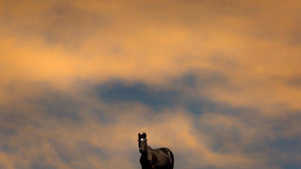 flisci's tweet photo. @matthewmorrocco I would love to show some work! https://t.co/yzjL2qGVry