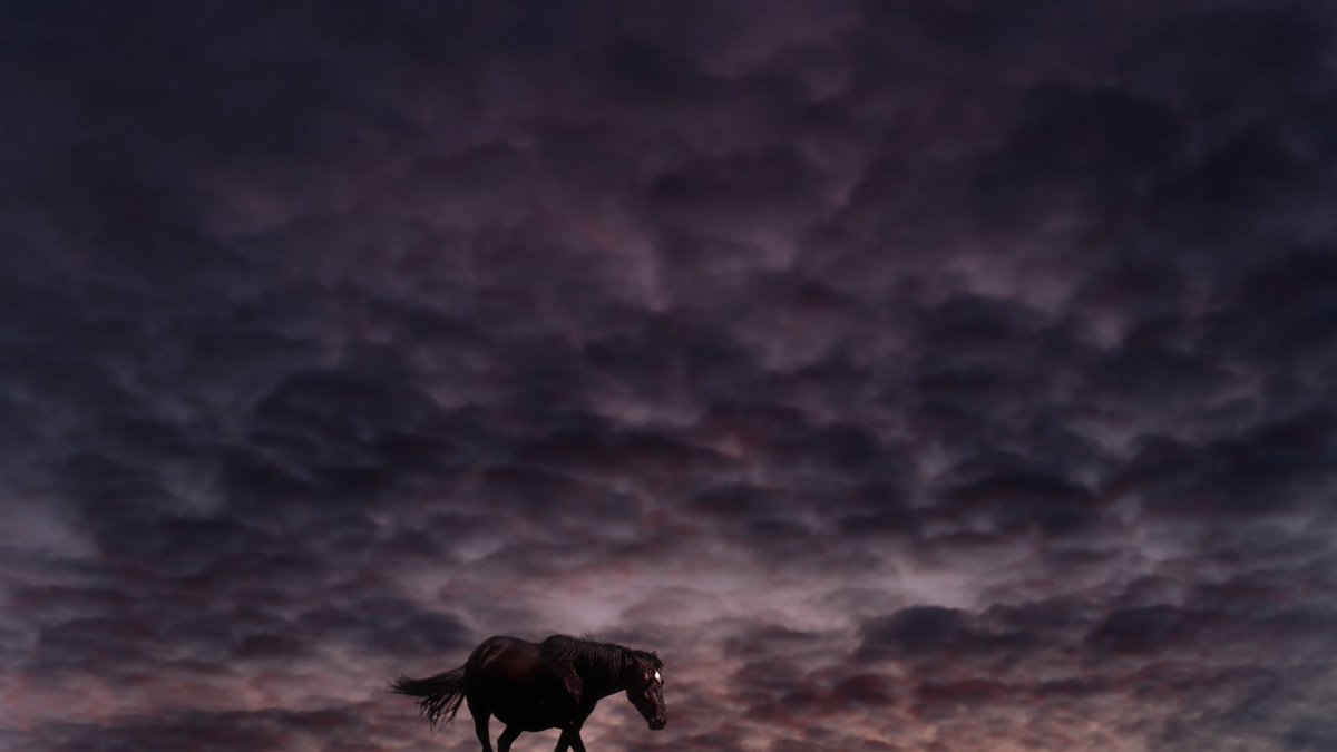 flisci's tweet photo. @matthewmorrocco I would love to show some work! https://t.co/yzjL2qGVry