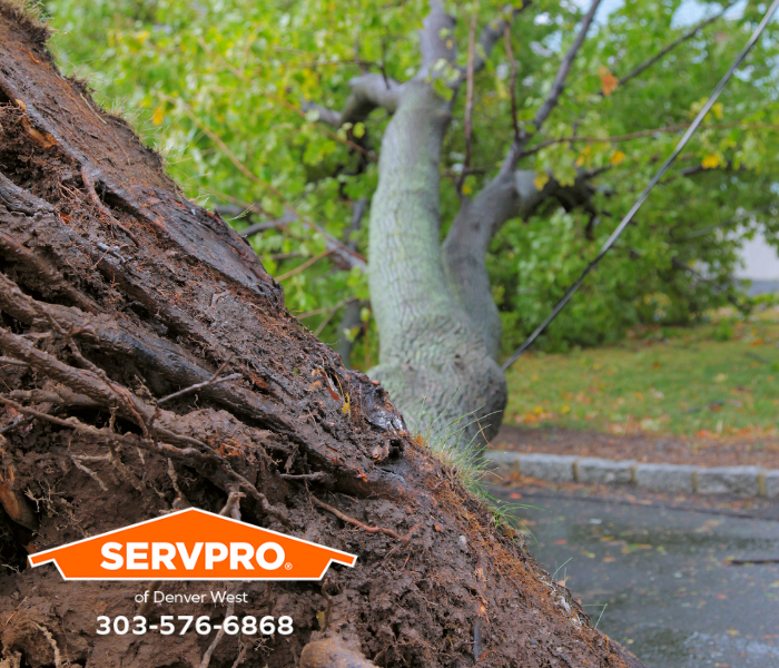 The weather can be unpredictable, and storms often occur with little advanced warning. Our local team in Denver restores storm damage every year. #SERVPRO #SERVPROofDenverWest #DenverWest #Denver #HereToHelp #LikeItNeverEvenHappened #WaterDamage #FireDamage #PropertyDamage