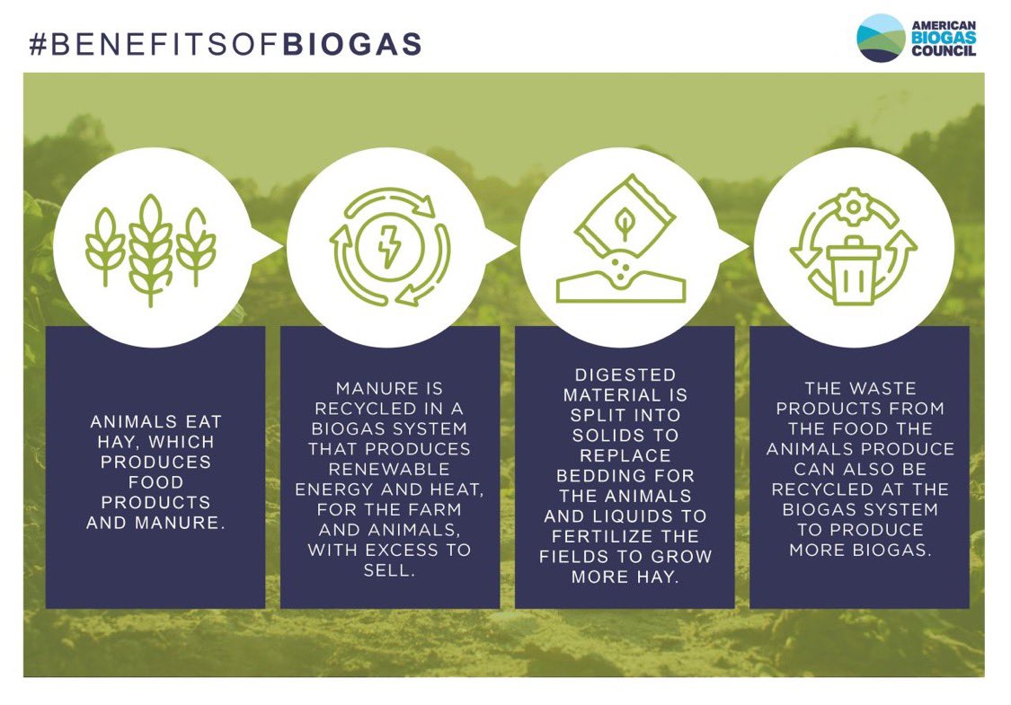 Did you know that #biogas and #anaerobicdigestion are valuable assets that contribute to a #circulareconomy while also reducing greenhouse gas emissions? ♻️🌳 #BenefitsOfBiogas #sustainability