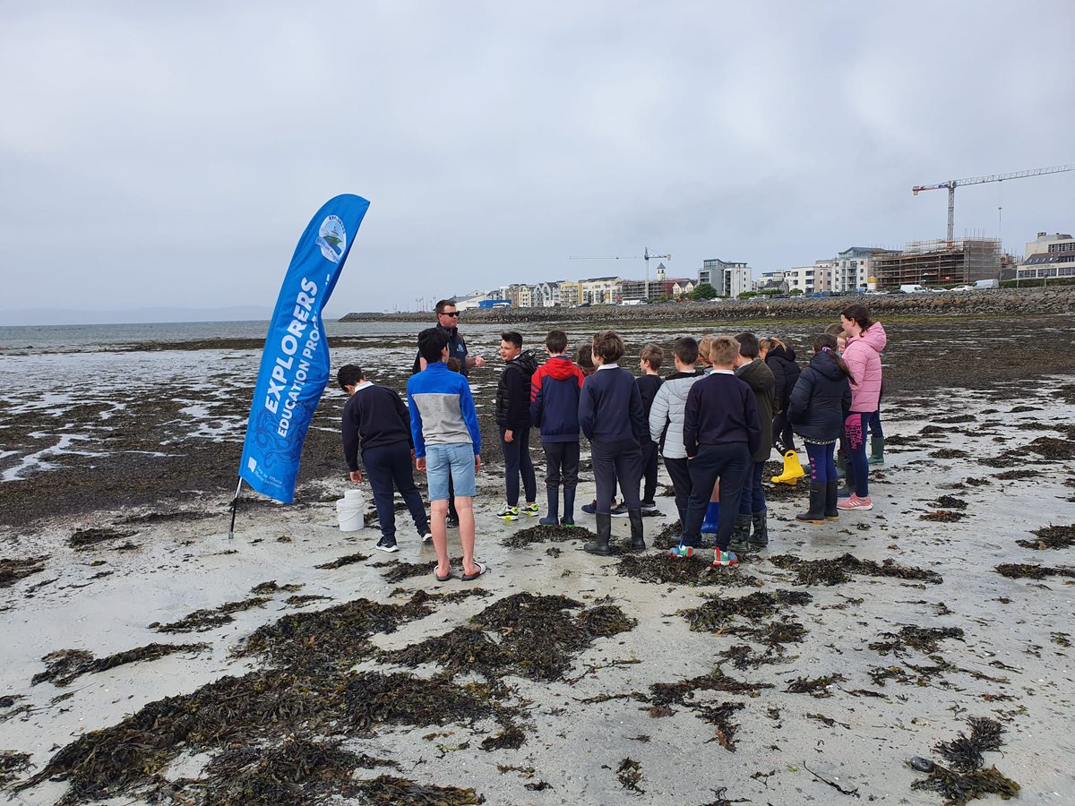 SMoycullen's tweet photo. Chuaigh R5 go dtí an trá inniu le @GalwayAquarium ar son @explorersedu!
Míle buíochas! Bhí an lá go deo acu 🐟🐙🐚
Thank you for a fantastic day exploring the seashore as part of the Explorers Education Programme with the Galway Atlantaquaria!
#pdststem #edshareie #edchatie https://t.co/RSQR1iD1mr