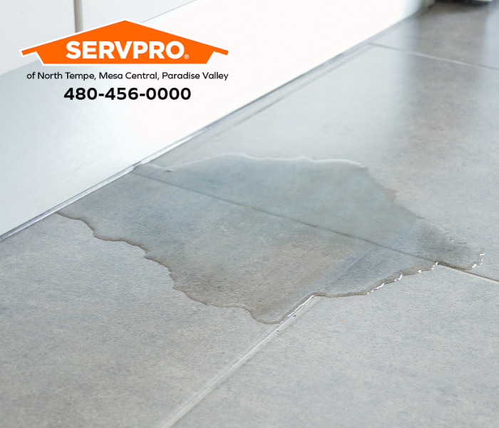 Water damage is the most common form of property damage in the United States. Our local teams in North Tempe, Mesa Central, and Paradise Valley restore water damage quickly and efficiently. #SERVPRO #SERVPROofNorthTempe #SERVPROofNorthTempeandSERVPROofMesaEast #Tempe #Mesa #AZ