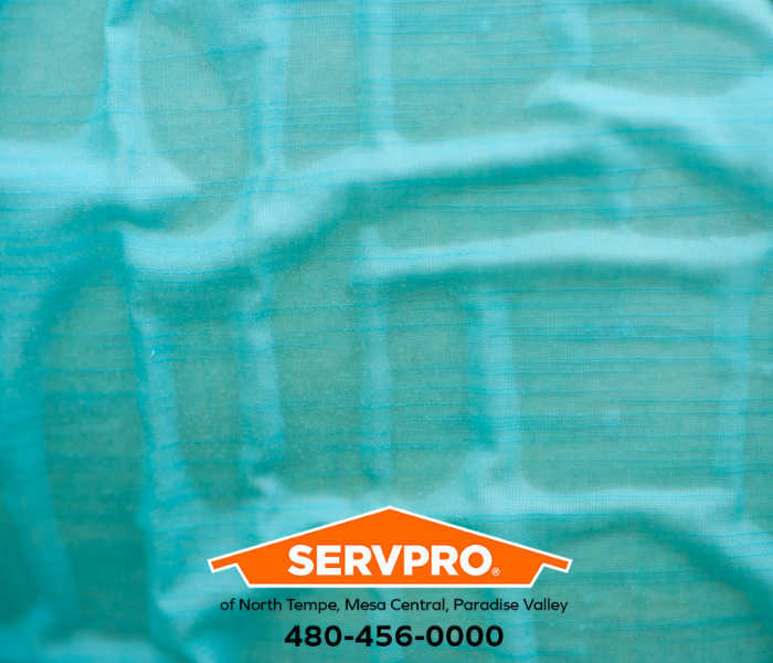 Our local teams in North Tempe, Mesa Central, and Paradise Valley offer tips in our latest blog on things you can do while waiting for help to arrive. #SERVPRO #SERVPROofNorthTempe #SERVPROofNorthTempeandSERVPROofMesaEast #Tempe #Mesa #AZ