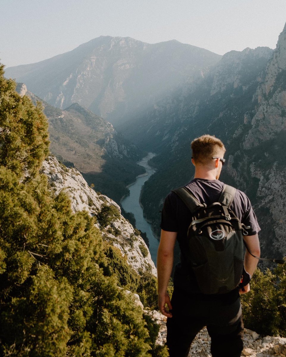 Tom Anders tweet media