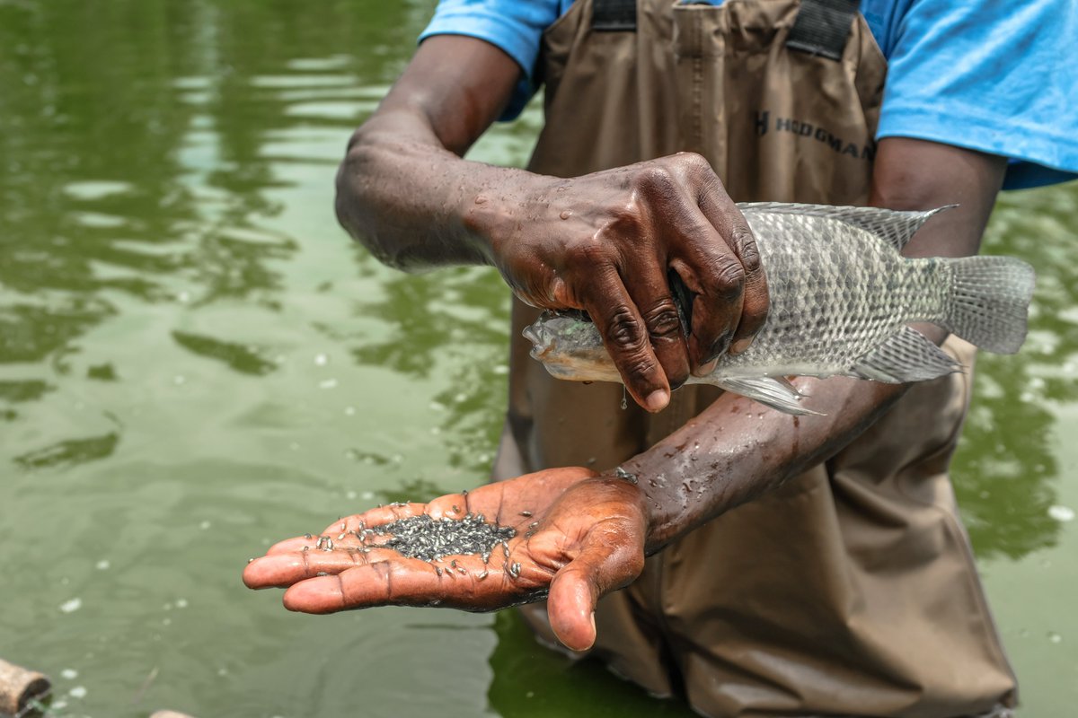 GatsbyAfrica's tweet photo. Join us at the Aquatic Resources and Blue Economy Conference (ARBEC) in Kisumu, Kenya, from 28th November - 1st December 2022 📅

Find out more about participating here: https://t.co/KlBfj4xv1H https://t.co/AwFC2tFHWW