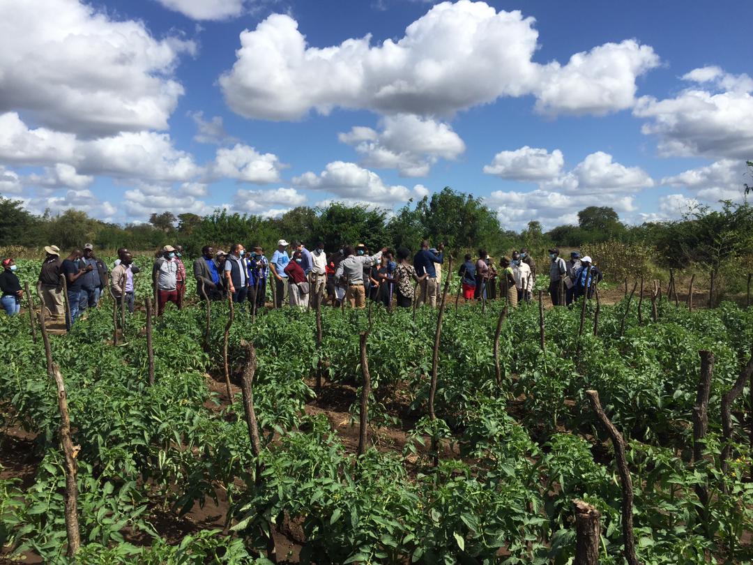 CAREZimbabwe's tweet photo. He was capacitated by the project in record keeping, financial literacy, high value crop production in collaboration with @MoLAFWRD_Zim - Agritex. 

His wife, Unity Magatse also testified on improved decision making &amp; financial inclusion thanks to the #ECRAS gender dialogues. https://t.co/0gNEhaXOh1