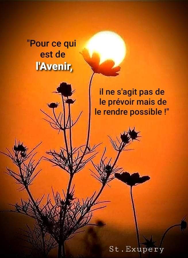 Murielb62's tweet photo. Très belle soirée à toutes et tous 💫
#citation #Avenir #RendrePossible #ligue_des_optimistes https://t.co/seKefplewy
