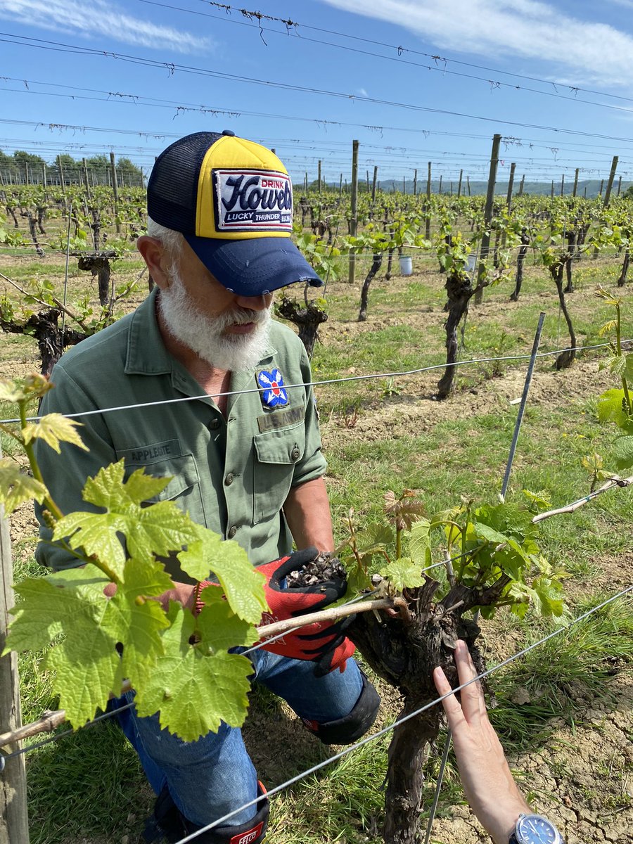 RidgeviewWineUK's tweet photo. Fantastic to have the Vine Master Pruner Marco visit on a gorgeous day in the Ridgeview Chardonnay vines @simonitesirch Lending valuable advice to our Vineyard Manager @Strugz Pruning is where it all begins.
#AlwaysTimeToLearn #Pruning #Viticulture #EnglishSparklingWine https://t.co/QolXt1n3VO