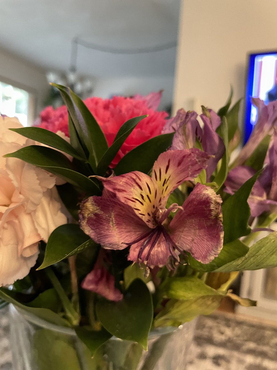 lorrainejo's tweet photo. @acidartha @Bloomex_canada Same problem over here. Paid almost double for Mother’s Day. Flowers came in 3 days early and 1/4 dead. They never gave a refund for the extra shipping and have refused a refund. Only I store credit. Worst company. https://t.co/BXOCvs0Lk6