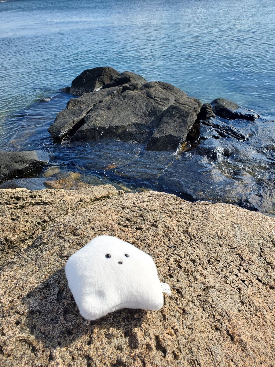 sucklet7's tweet photo. the human left a dent in my lower left point again. i cannot relax under such circumstances.
#sucklet. #beachlet. #dentlet. https://t.co/hGTWt2e5Fi