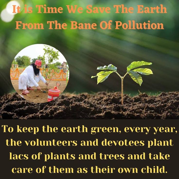Kamniinsan's tweet photo. #PollutionFreeEnvironment 
#TreePlantation campaigns are held on every year by #DeraSachaSauda
#LetNatureBloom
#NatureCampaign  
#BabaRamRahim 
#SaintDrMSG 
#SaintDrGurmeetRamRahimSinghJi
#GurmeetRamRahim
#RamRahim
Saint Dr Gurmeet Ram Rahim Singh Ji Insan https://t.co/ICpBD6KzwA