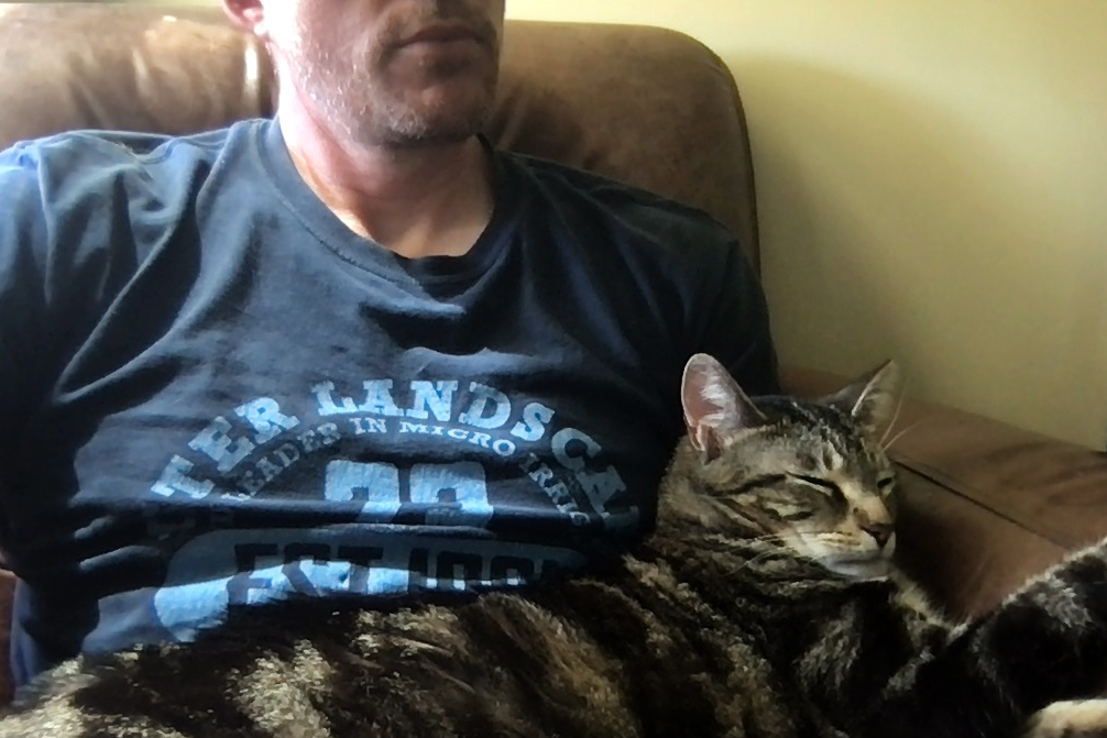 vosswriter's tweet photo. My wingman, Mahi. Callsign: Fish. Favorite activity: Shrew hunting. Confirmed kills: 37. Other favorite activity: This... while I'm trying to work 😐  #awesomepets #bestcatever https://t.co/kZlVgLTFAX