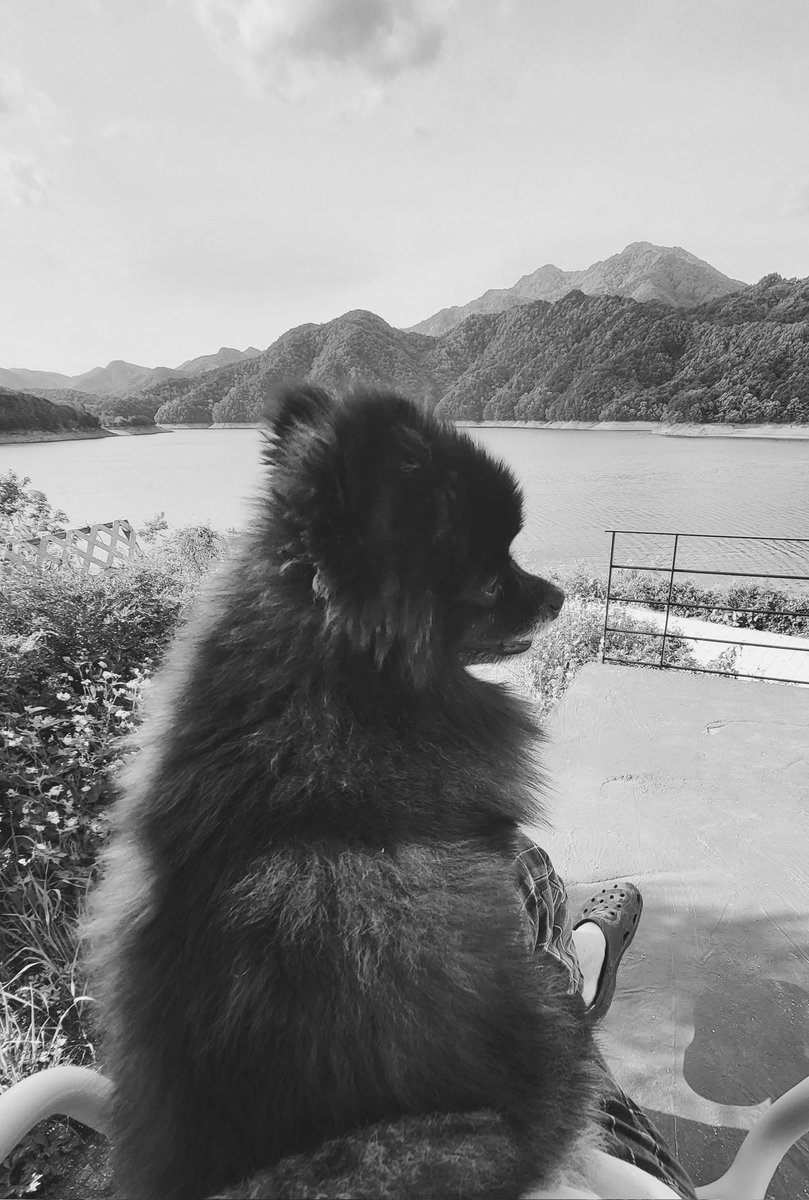 조세현 tweet media