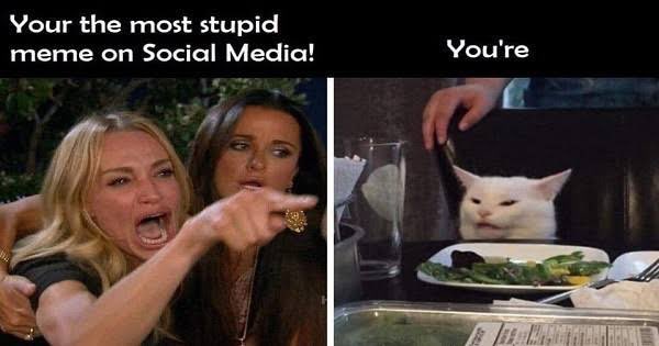 iamcelini's tweet photo. @memeland https://t.co/bCZQb1BbR6