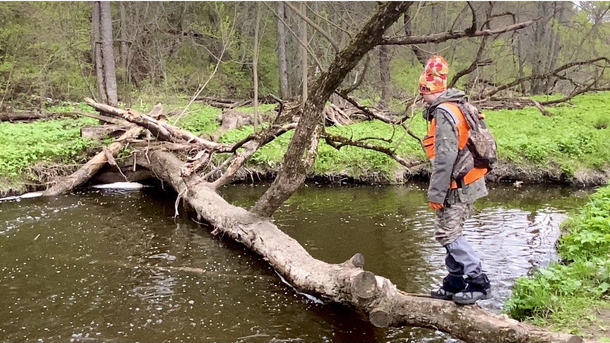 Гулящих tweet media